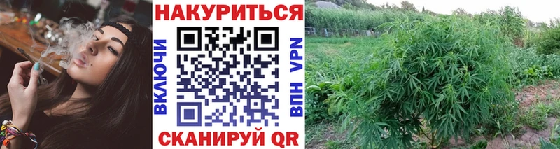  КОКАИН Горно-Алтайск