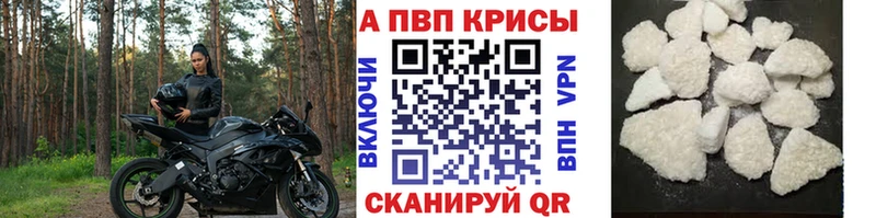Alfa_PVP СК Горно-Алтайск