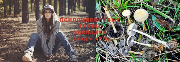 прущий лед Балабаново