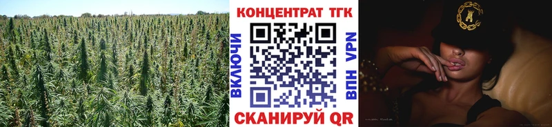 магазин  наркотиков  Горно-Алтайск  Дистиллят ТГК концентрат 