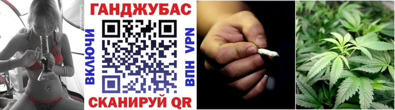 где купить   Горно-Алтайск  Конопля семена 
